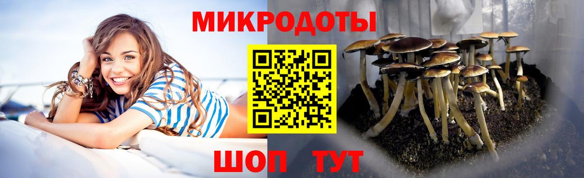 Псилоцибиновые грибы мухоморы Губаха